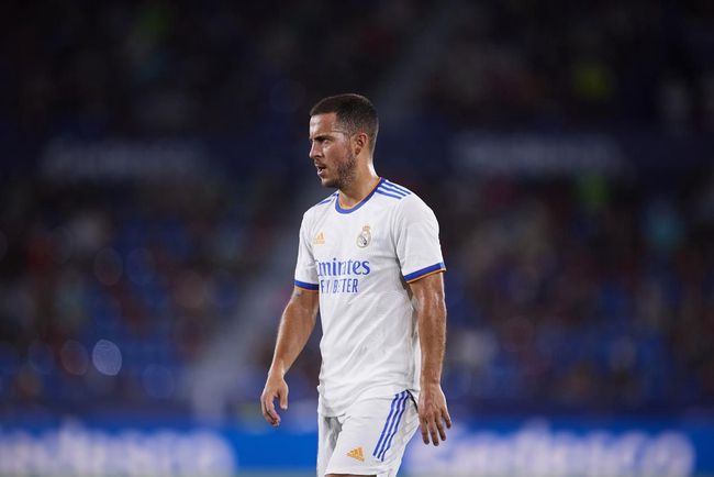 蛋白质娃娃